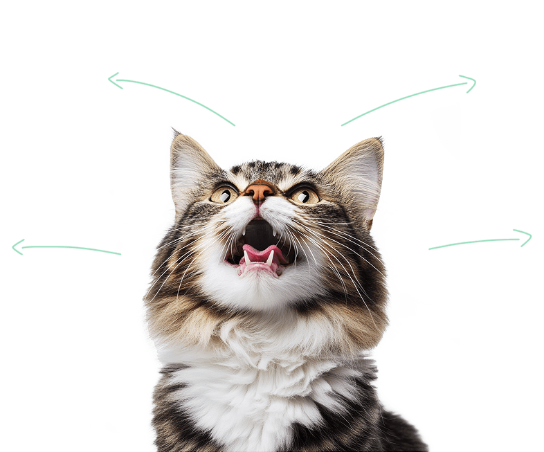 ImageAlt.featureCat
